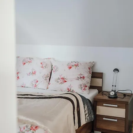 Spisz& Spisz Frydman